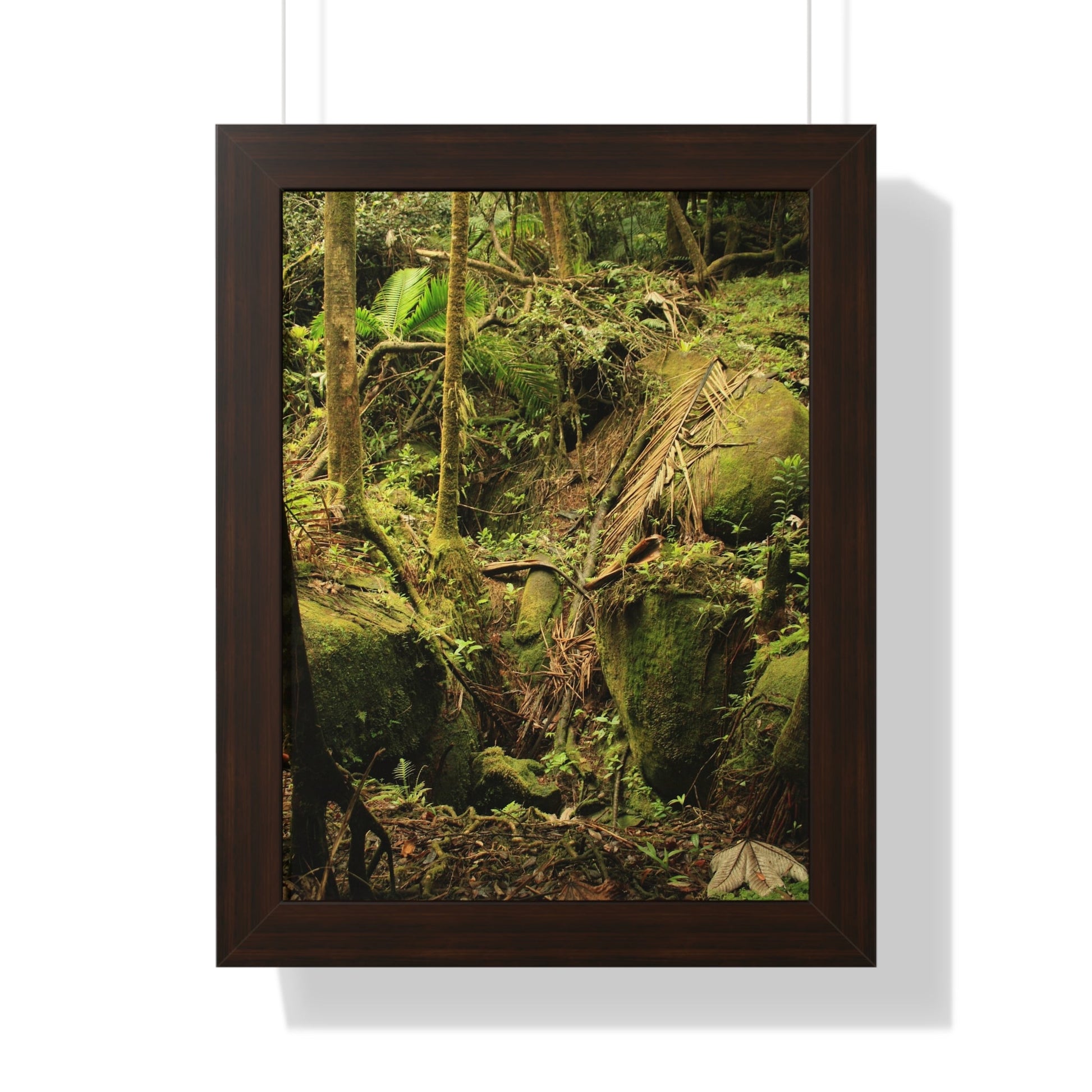 Rainforest Trails & Views - Gallery Canvas Wraps, Framed Vertical Poster - El Yunque National Forest - Puerto Rico - Near Tradewinds - Dangerous drainage holes - Green Forest Home