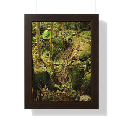 Rainforest Trails & Views - Gallery Canvas Wraps, Framed Vertical Poster - El Yunque National Forest - Puerto Rico - Near Tradewinds - Dangerous drainage holes - Green Forest Home