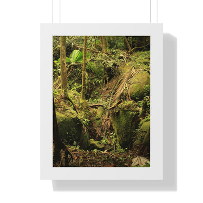 Rainforest Trails & Views - Gallery Canvas Wraps, Framed Vertical Poster - El Yunque National Forest - Puerto Rico - Near Tradewinds - Dangerous drainage holes - Green Forest Home