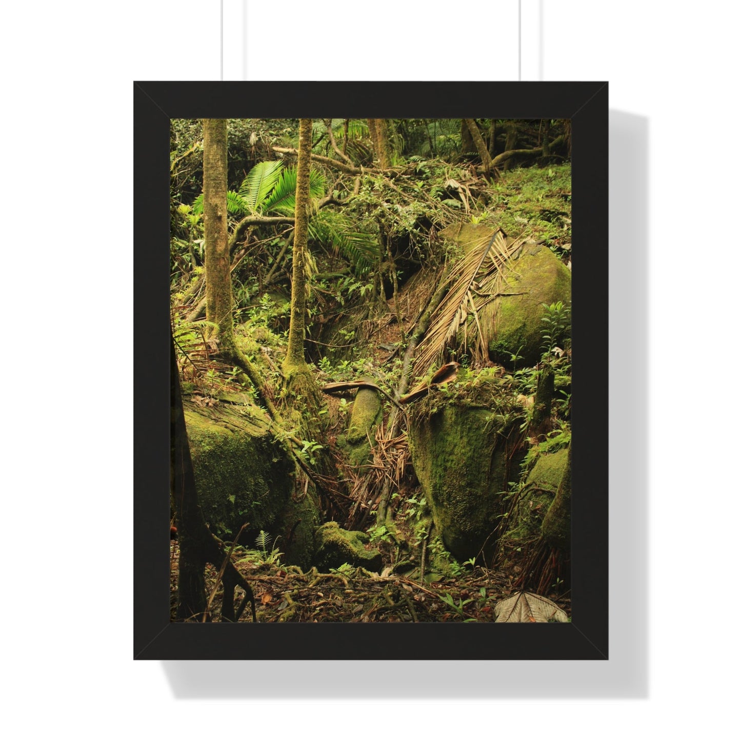 Rainforest Trails & Views - Gallery Canvas Wraps, Framed Vertical Poster - El Yunque National Forest - Puerto Rico - Near Tradewinds - Dangerous drainage holes - Green Forest Home