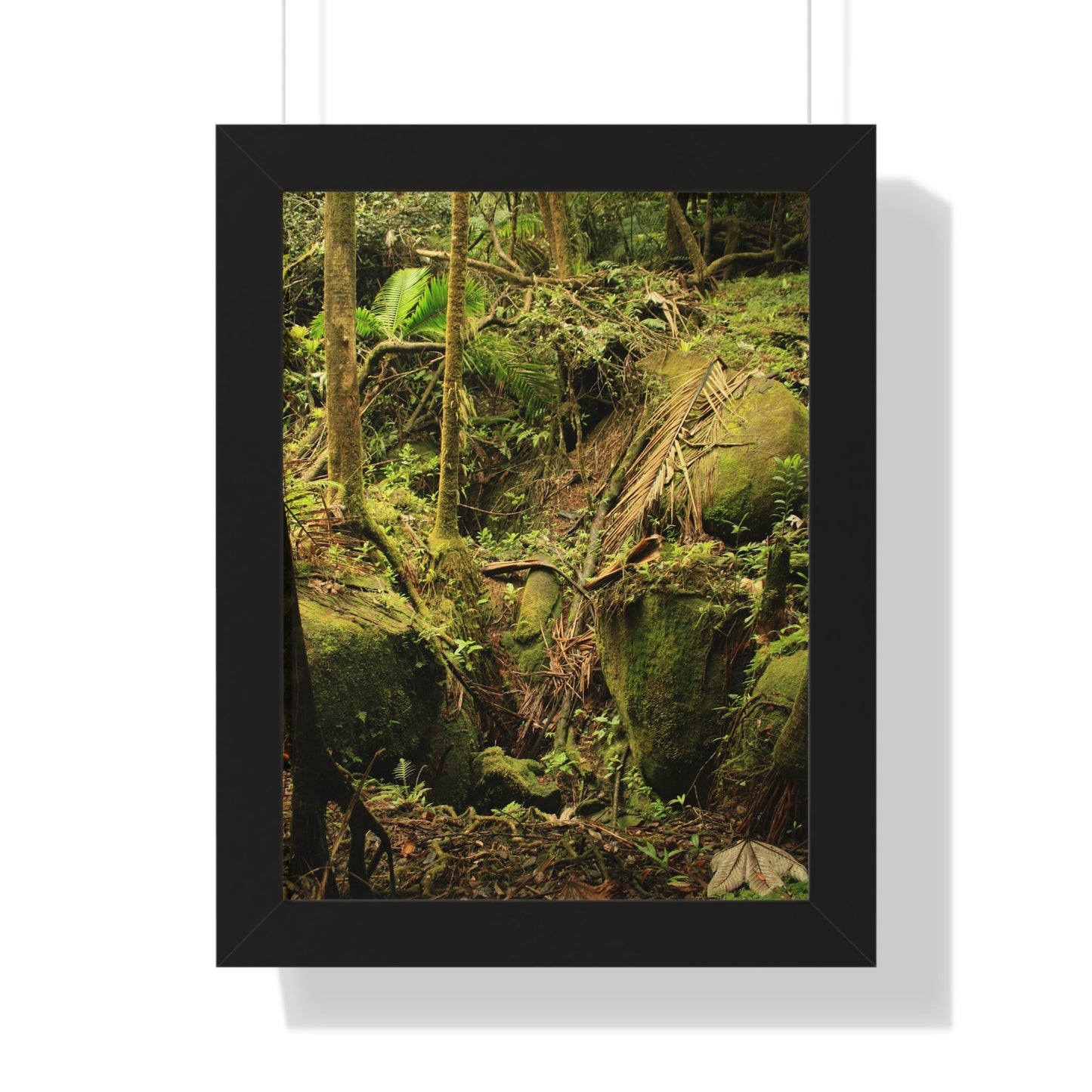 Rainforest Trails & Views - Gallery Canvas Wraps, Framed Vertical Poster - El Yunque National Forest - Puerto Rico - Near Tradewinds - Dangerous drainage holes - Green Forest Home