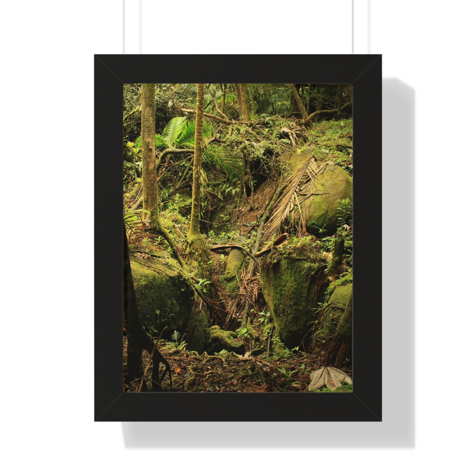 Rainforest Trails & Views - Gallery Canvas Wraps, Framed Vertical Poster - El Yunque National Forest - Puerto Rico - Near Tradewinds - Dangerous drainage holes - Green Forest Home