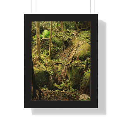 Rainforest Trails & Views - Gallery Canvas Wraps, Framed Vertical Poster - El Yunque National Forest - Puerto Rico - Near Tradewinds - Dangerous drainage holes - Green Forest Home