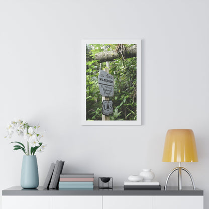 Rainforest Trails & Views - Gallery Canvas Wraps, Framed Vertical Poster - El Yunque National Forest - Puerto Rico - Rio Sabana trail - El Toro Wilderness begins here - Green Forest Home