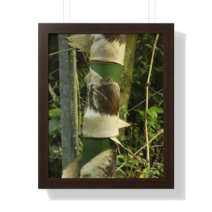 Rainforest Trails & Views - Gallery Canvas Wraps, Framed Vertical Poster - El Yunque National Forest - Puerto Rico - Sabana Park Bamboo Shoots - Green Forest Home