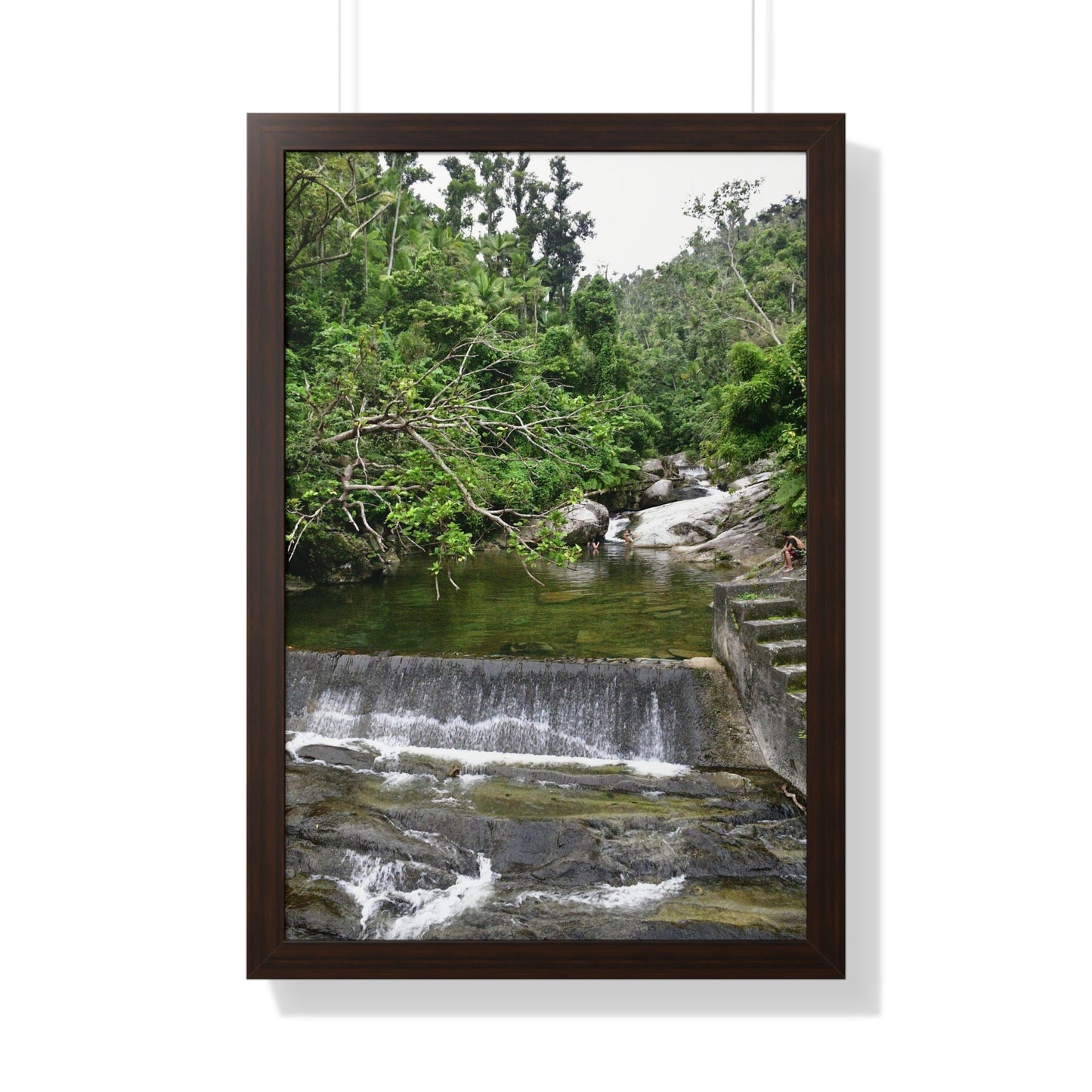 Rainforest Trails & Views - Gallery Canvas Wraps, Framed Vertical Poster - El Yunque National Forest - Puerto Rico - Sabana Trail - Icacos River Dam next to entrance gate - Green Forest Home