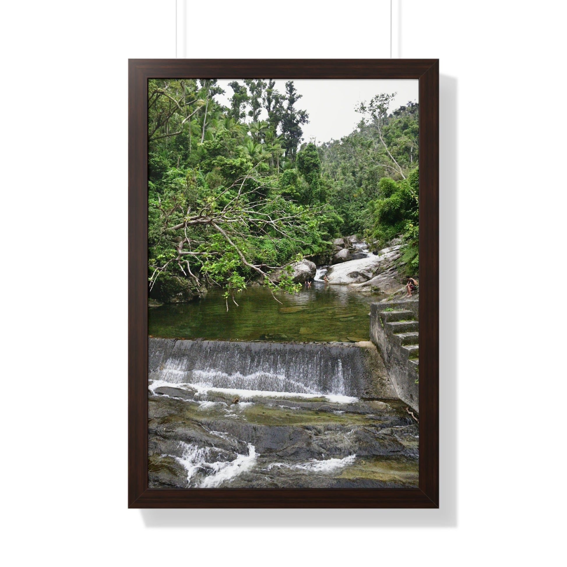Rainforest Trails & Views - Gallery Canvas Wraps, Framed Vertical Poster - El Yunque National Forest - Puerto Rico - Sabana Trail - Icacos River Dam next to entrance gate - Green Forest Home