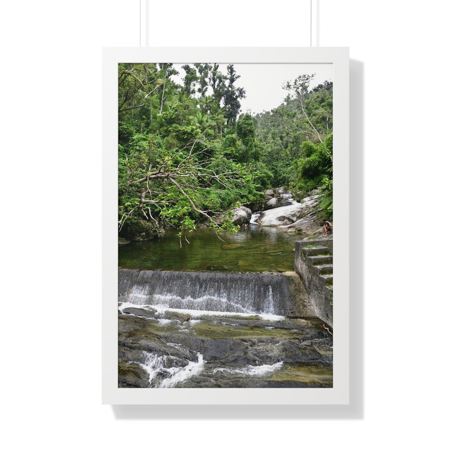 Rainforest Trails & Views - Gallery Canvas Wraps, Framed Vertical Poster - El Yunque National Forest - Puerto Rico - Sabana Trail - Icacos River Dam next to entrance gate - Green Forest Home