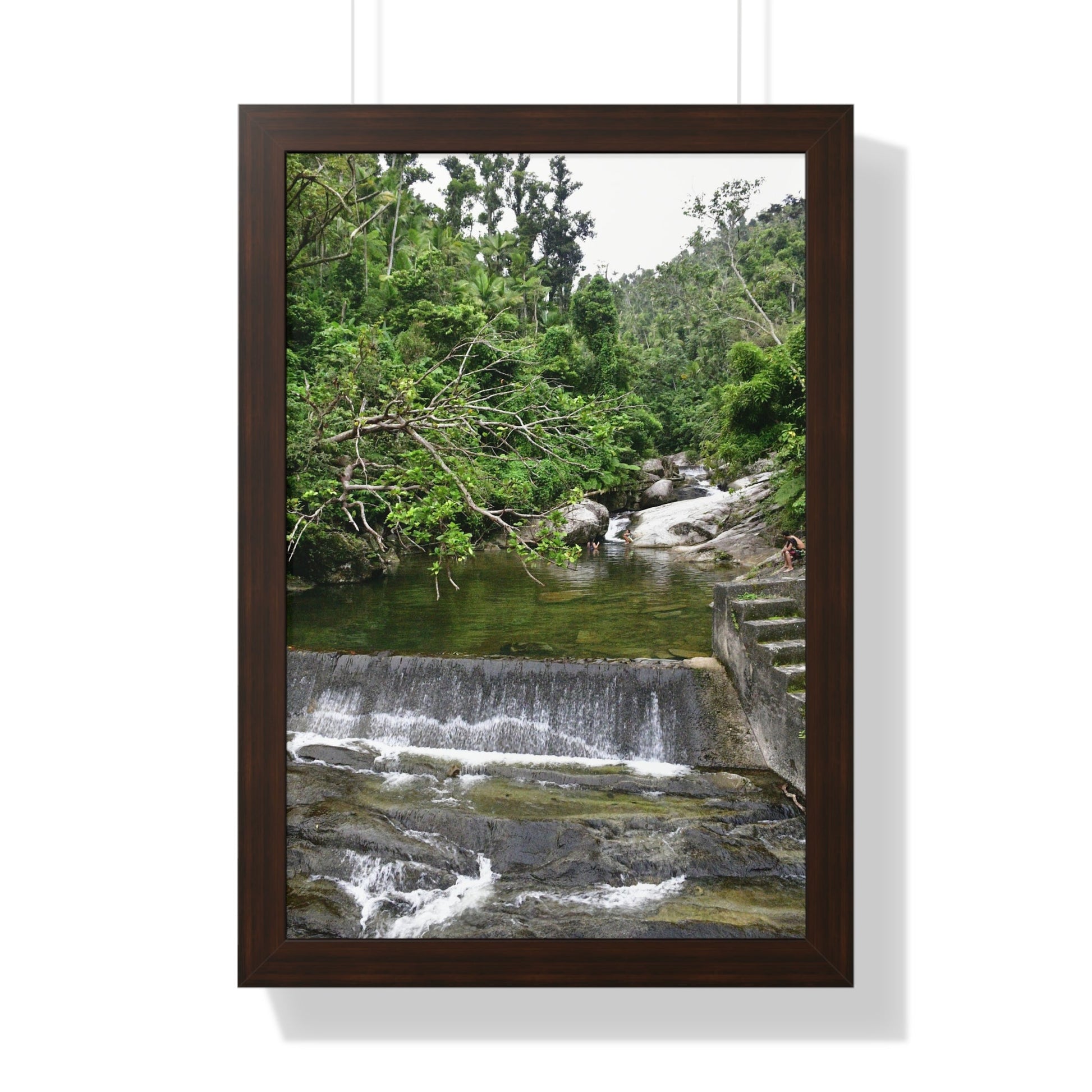 Rainforest Trails & Views - Gallery Canvas Wraps, Framed Vertical Poster - El Yunque National Forest - Puerto Rico - Sabana Trail - Icacos River Dam next to entrance gate - Green Forest Home