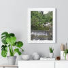 Rainforest Trails & Views - Gallery Canvas Wraps, Framed Vertical Poster - El Yunque National Forest - Puerto Rico - Sabana Trail - Icacos River Dam next to entrance gate - Green Forest Home