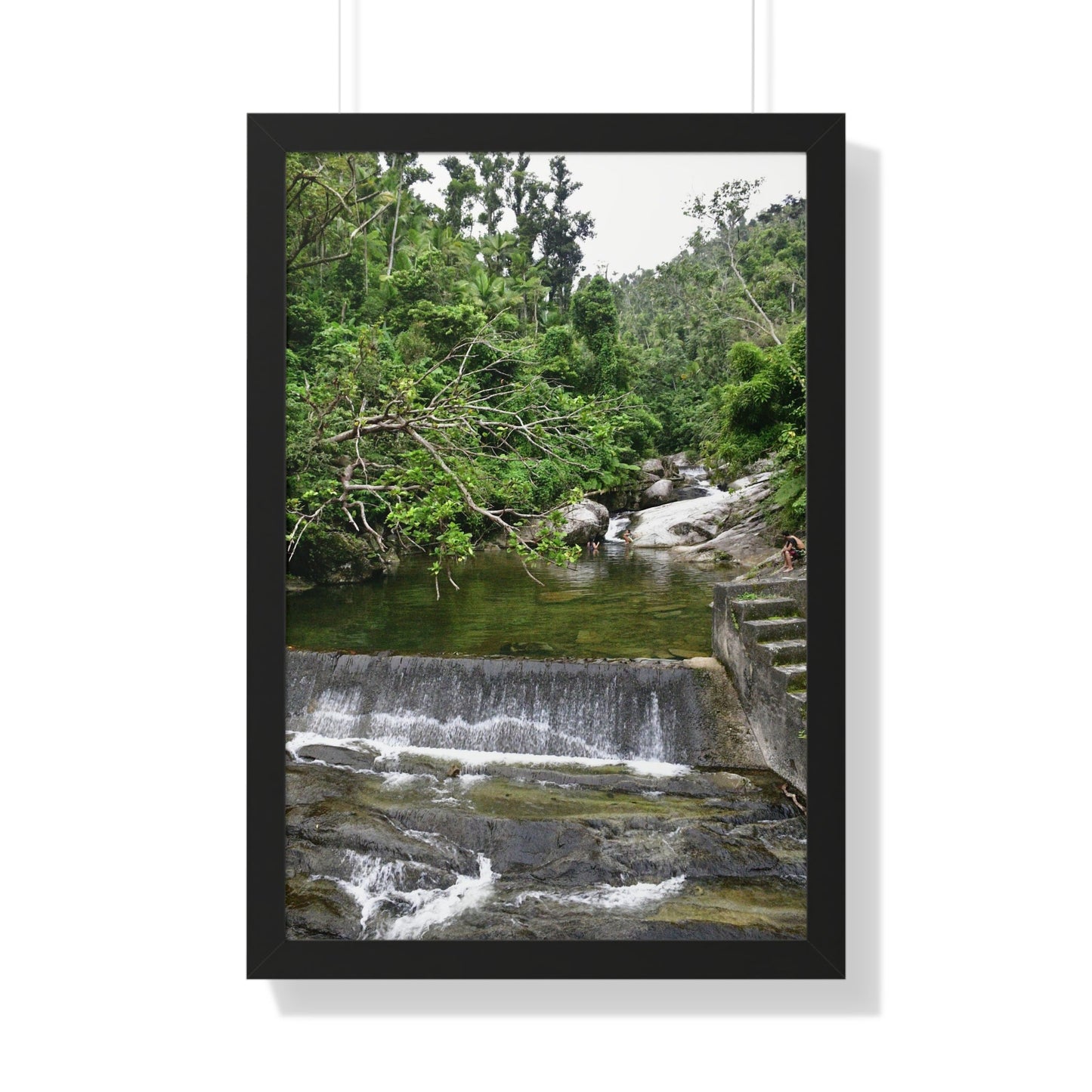 Rainforest Trails & Views - Gallery Canvas Wraps, Framed Vertical Poster - El Yunque National Forest - Puerto Rico - Sabana Trail - Icacos River Dam next to entrance gate - Green Forest Home
