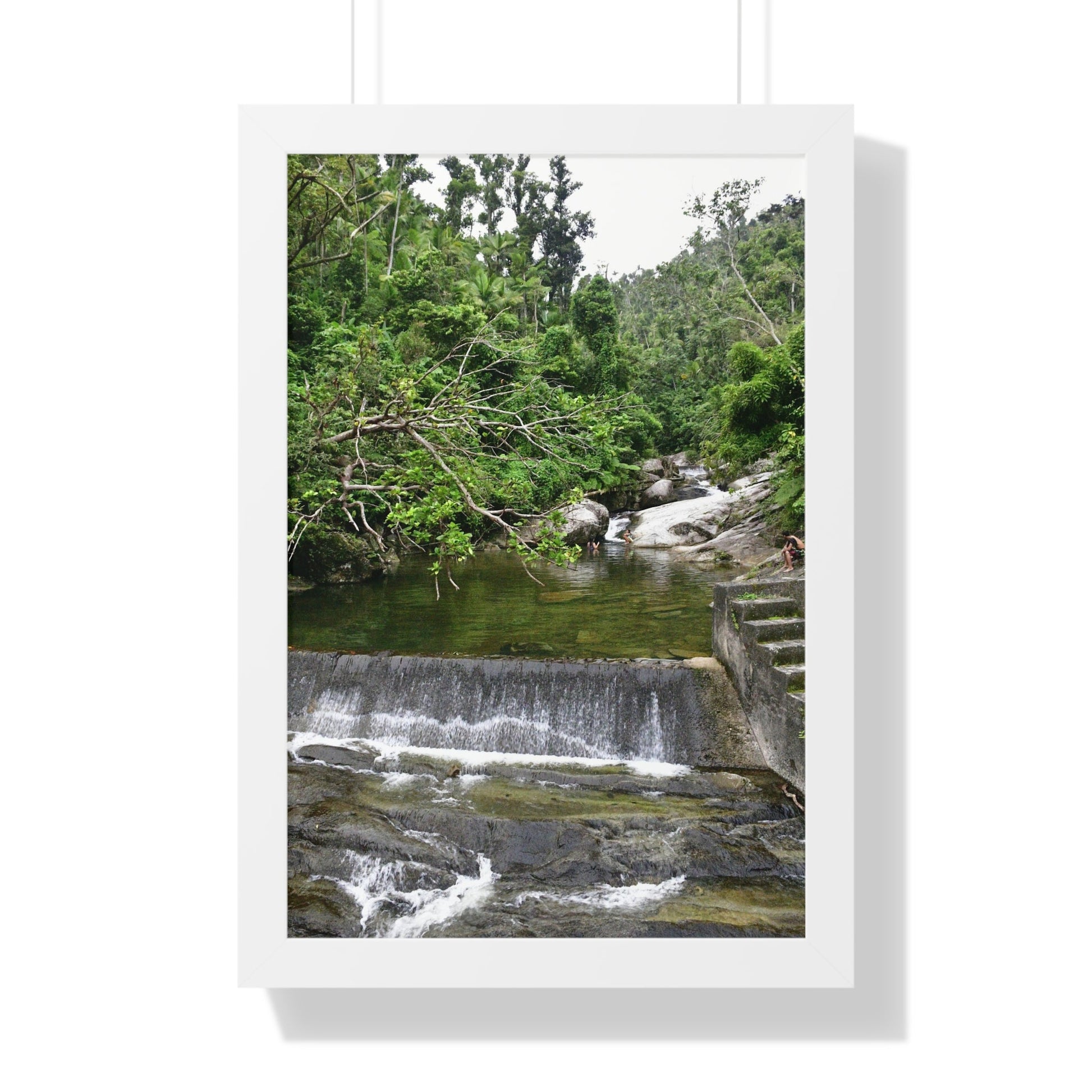 Rainforest Trails & Views - Gallery Canvas Wraps, Framed Vertical Poster - El Yunque National Forest - Puerto Rico - Sabana Trail - Icacos River Dam next to entrance gate - Green Forest Home