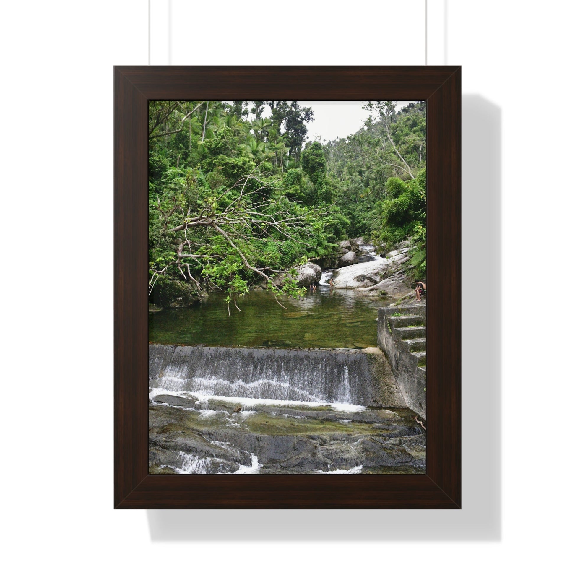 Rainforest Trails & Views - Gallery Canvas Wraps, Framed Vertical Poster - El Yunque National Forest - Puerto Rico - Sabana Trail - Icacos River Dam next to entrance gate - Green Forest Home