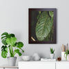 Rainforest Trails & Views - Gallery Canvas Wraps, Framed Vertical Poster - El Yunque National Forest - Puerto Rico - The large leafs of the lower forest - Green Forest Home