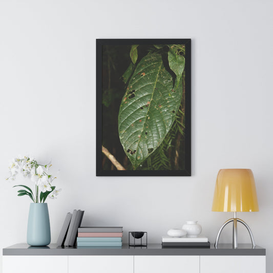Rainforest Trails & Views - Gallery Canvas Wraps, Framed Vertical Poster - El Yunque National Forest - Puerto Rico - The large leafs of the lower forest - Green Forest Home