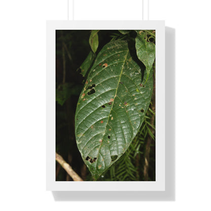 Rainforest Trails & Views - Gallery Canvas Wraps, Framed Vertical Poster - El Yunque National Forest - Puerto Rico - The large leafs of the lower forest - Green Forest Home