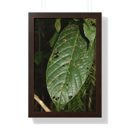 Rainforest Trails & Views - Gallery Canvas Wraps, Framed Vertical Poster - El Yunque National Forest - Puerto Rico - The large leafs of the lower forest - Green Forest Home
