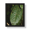 Rainforest Trails & Views - Gallery Canvas Wraps, Framed Vertical Poster - El Yunque National Forest - Puerto Rico - The large leafs of the lower forest - Green Forest Home