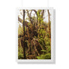 Rainforest Trails & Views - Gallery Canvas Wraps, Framed Vertical Poster - El Yunque National Forest - Puerto Rico - The wild trees of Rio Sababa to survive storms - Green Forest Home