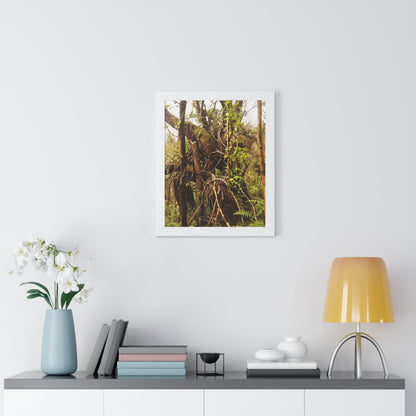 Rainforest Trails & Views - Gallery Canvas Wraps, Framed Vertical Poster - El Yunque National Forest - Puerto Rico - The wild trees of Rio Sababa to survive storms - Green Forest Home