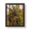 Rainforest Trails & Views - Gallery Canvas Wraps, Framed Vertical Poster - El Yunque National Forest - Puerto Rico - The wild trees of Rio Sababa to survive storms - Green Forest Home
