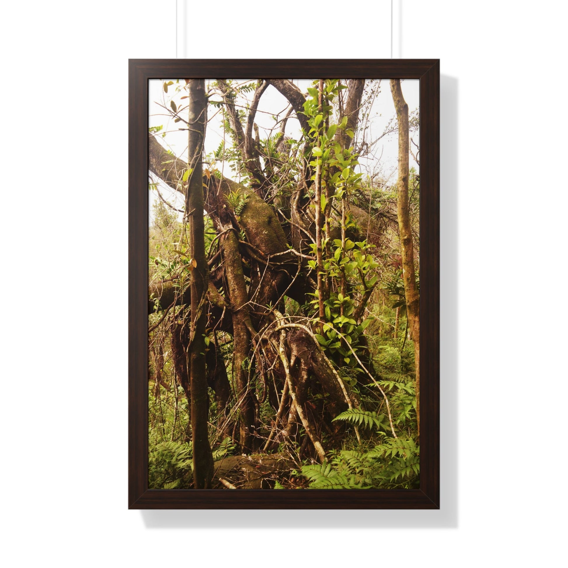 Rainforest Trails & Views - Gallery Canvas Wraps, Framed Vertical Poster - El Yunque National Forest - Puerto Rico - The wild trees of Rio Sababa to survive storms - Green Forest Home