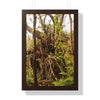 Rainforest Trails & Views - Gallery Canvas Wraps, Framed Vertical Poster - El Yunque National Forest - Puerto Rico - The wild trees of Rio Sababa to survive storms - Green Forest Home