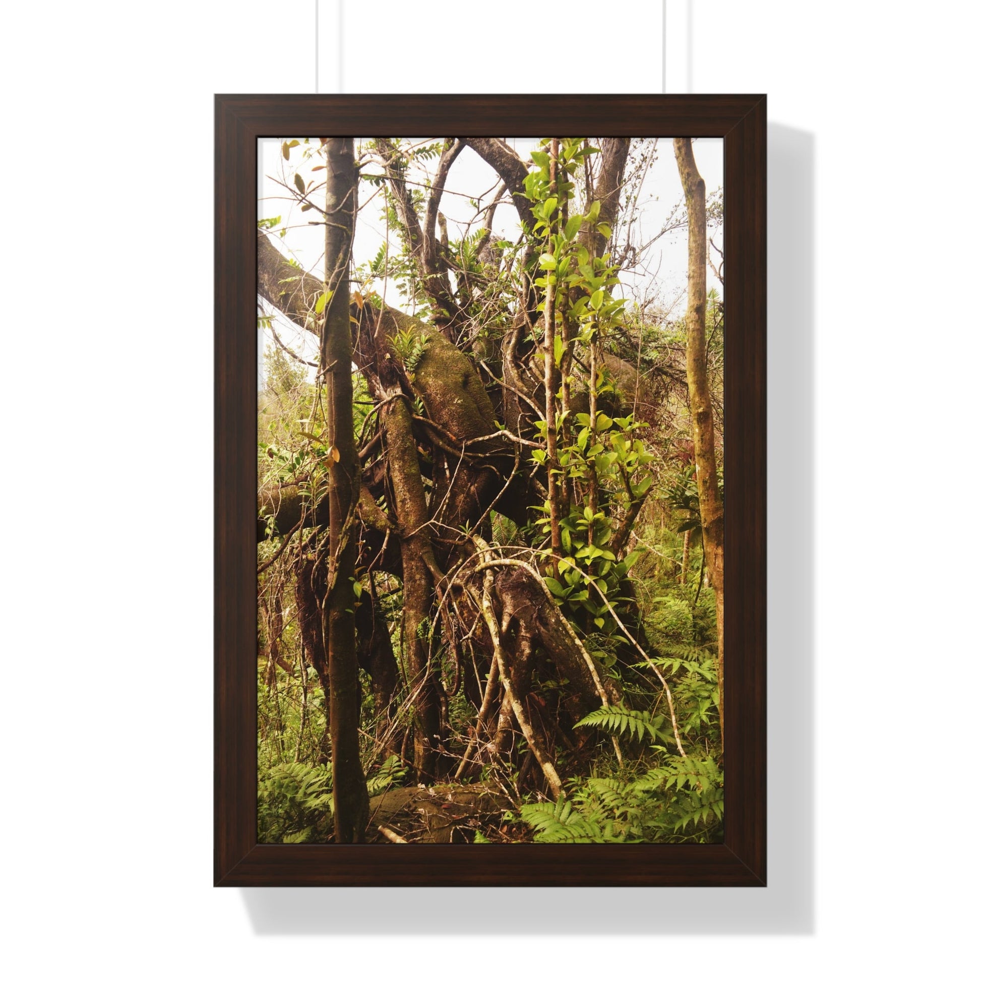Rainforest Trails & Views - Gallery Canvas Wraps, Framed Vertical Poster - El Yunque National Forest - Puerto Rico - The wild trees of Rio Sababa to survive storms - Green Forest Home