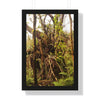 Rainforest Trails & Views - Gallery Canvas Wraps, Framed Vertical Poster - El Yunque National Forest - Puerto Rico - The wild trees of Rio Sababa to survive storms - Green Forest Home