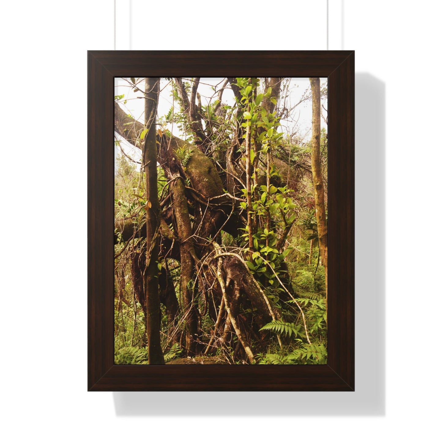 Rainforest Trails & Views - Gallery Canvas Wraps, Framed Vertical Poster - El Yunque National Forest - Puerto Rico - The wild trees of Rio Sababa to survive storms - Green Forest Home