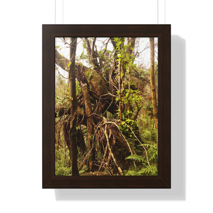 Rainforest Trails & Views - Gallery Canvas Wraps, Framed Vertical Poster - El Yunque National Forest - Puerto Rico - The wild trees of Rio Sababa to survive storms - Green Forest Home