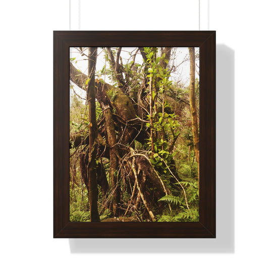 Rainforest Trails & Views - Gallery Canvas Wraps, Framed Vertical Poster - El Yunque National Forest - Puerto Rico - The wild trees of Rio Sababa to survive storms - Green Forest Home