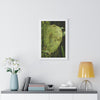 Rainforest Trails & Views - Gallery Canvas Wraps, Framed Vertical Poster - El Yunque National Forest - Puerto Rico - Top of PR 191 Thick Humid Forest - Green Forest Home