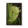 Rainforest Trails & Views - Gallery Canvas Wraps, Framed Vertical Poster - El Yunque National Forest - Puerto Rico - Top of PR 191 Thick Humid Forest - Green Forest Home
