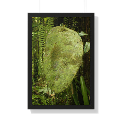 Rainforest Trails & Views - Gallery Canvas Wraps, Framed Vertical Poster - El Yunque National Forest - Puerto Rico - Top of PR 191 Thick Humid Forest - Green Forest Home