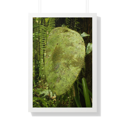 Rainforest Trails & Views - Gallery Canvas Wraps, Framed Vertical Poster - El Yunque National Forest - Puerto Rico - Top of PR 191 Thick Humid Forest - Green Forest Home