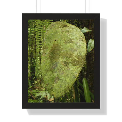 Rainforest Trails & Views - Gallery Canvas Wraps, Framed Vertical Poster - El Yunque National Forest - Puerto Rico - Top of PR 191 Thick Humid Forest - Green Forest Home