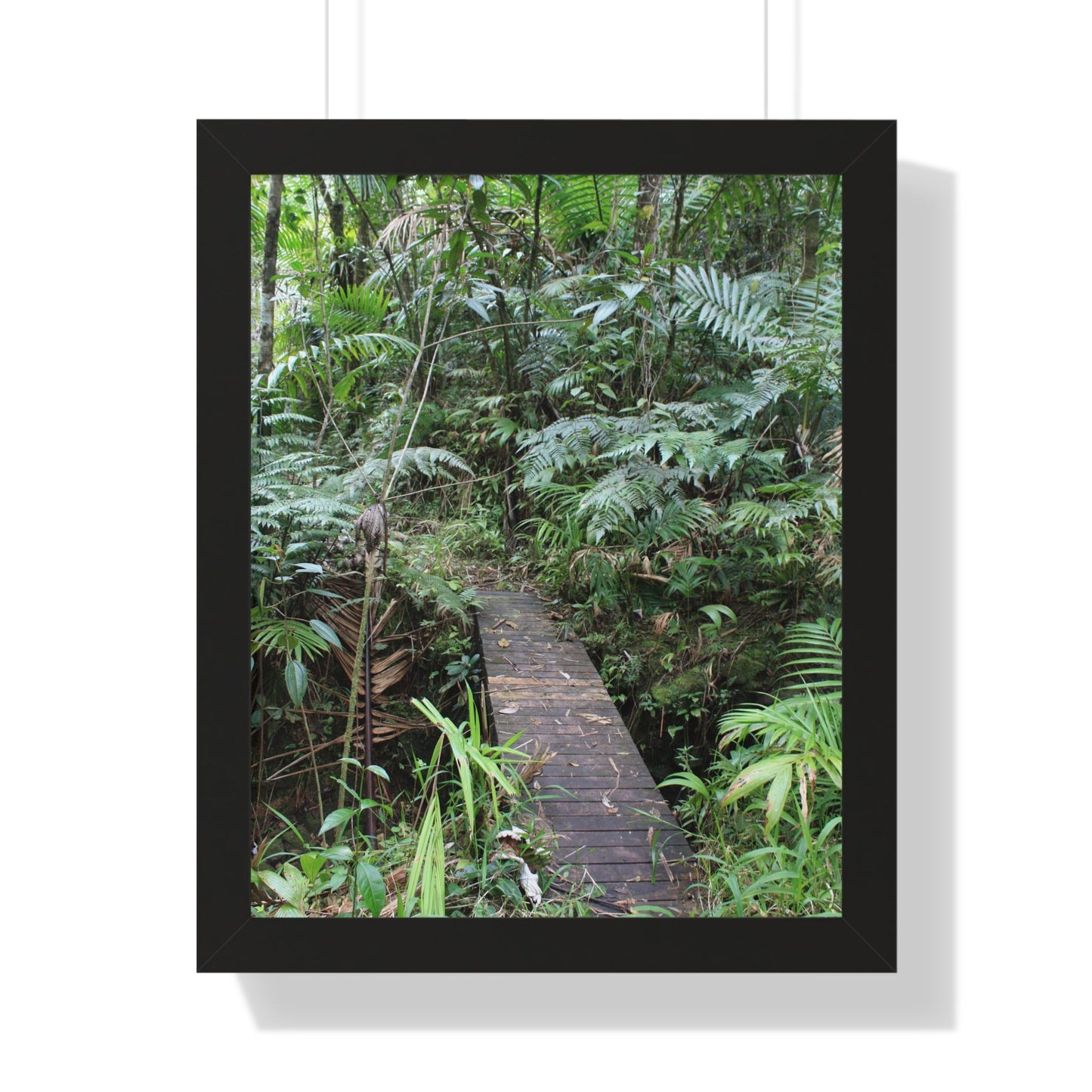 Rainforest Trails & Views - Gallery Canvas Wraps, Framed Vertical Poster - El Yunque National Forest - Puerto Rico - Tradewinds trail crossing bridge - Green Forest Home