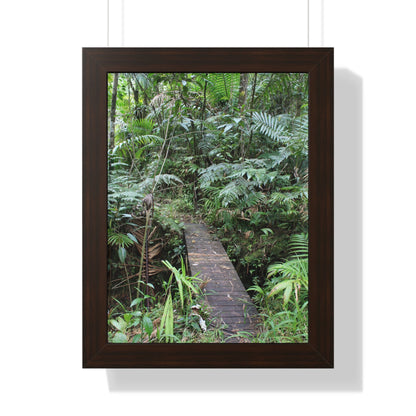 Rainforest Trails & Views - Gallery Canvas Wraps, Framed Vertical Poster - El Yunque National Forest - Puerto Rico - Tradewinds trail crossing bridge - Green Forest Home
