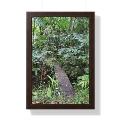 Rainforest Trails & Views - Gallery Canvas Wraps, Framed Vertical Poster - El Yunque National Forest - Puerto Rico - Tradewinds trail crossing bridge - Green Forest Home