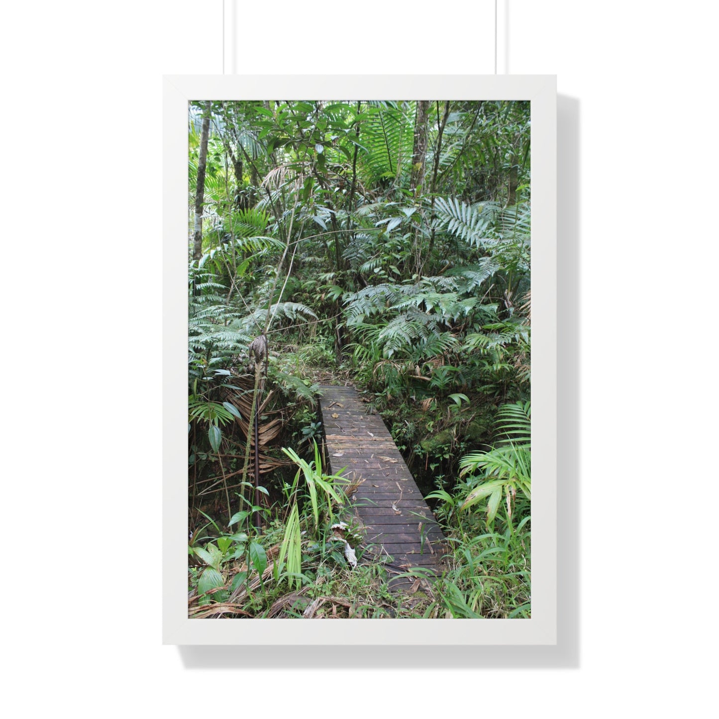 Rainforest Trails & Views - Gallery Canvas Wraps, Framed Vertical Poster - El Yunque National Forest - Puerto Rico - Tradewinds trail crossing bridge - Green Forest Home