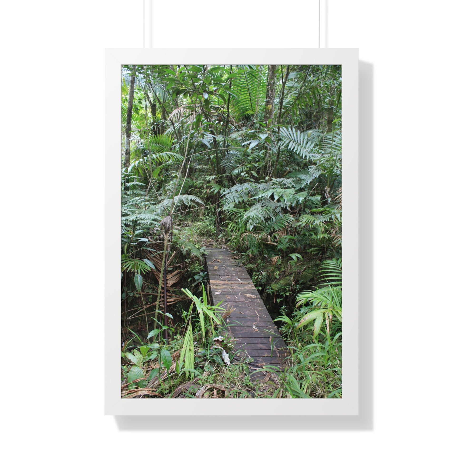 Rainforest Trails & Views - Gallery Canvas Wraps, Framed Vertical Poster - El Yunque National Forest - Puerto Rico - Tradewinds trail crossing bridge - Green Forest Home