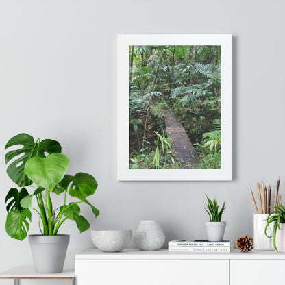 Rainforest Trails & Views - Gallery Canvas Wraps, Framed Vertical Poster - El Yunque National Forest - Puerto Rico - Tradewinds trail crossing bridge - Green Forest Home