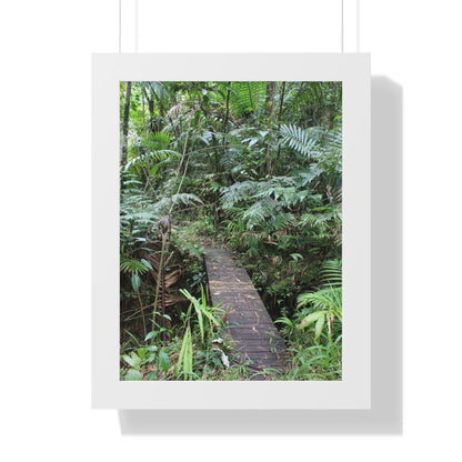 Rainforest Trails & Views - Gallery Canvas Wraps, Framed Vertical Poster - El Yunque National Forest - Puerto Rico - Tradewinds trail crossing bridge - Green Forest Home