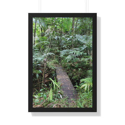 Rainforest Trails & Views - Gallery Canvas Wraps, Framed Vertical Poster - El Yunque National Forest - Puerto Rico - Tradewinds trail crossing bridge - Green Forest Home