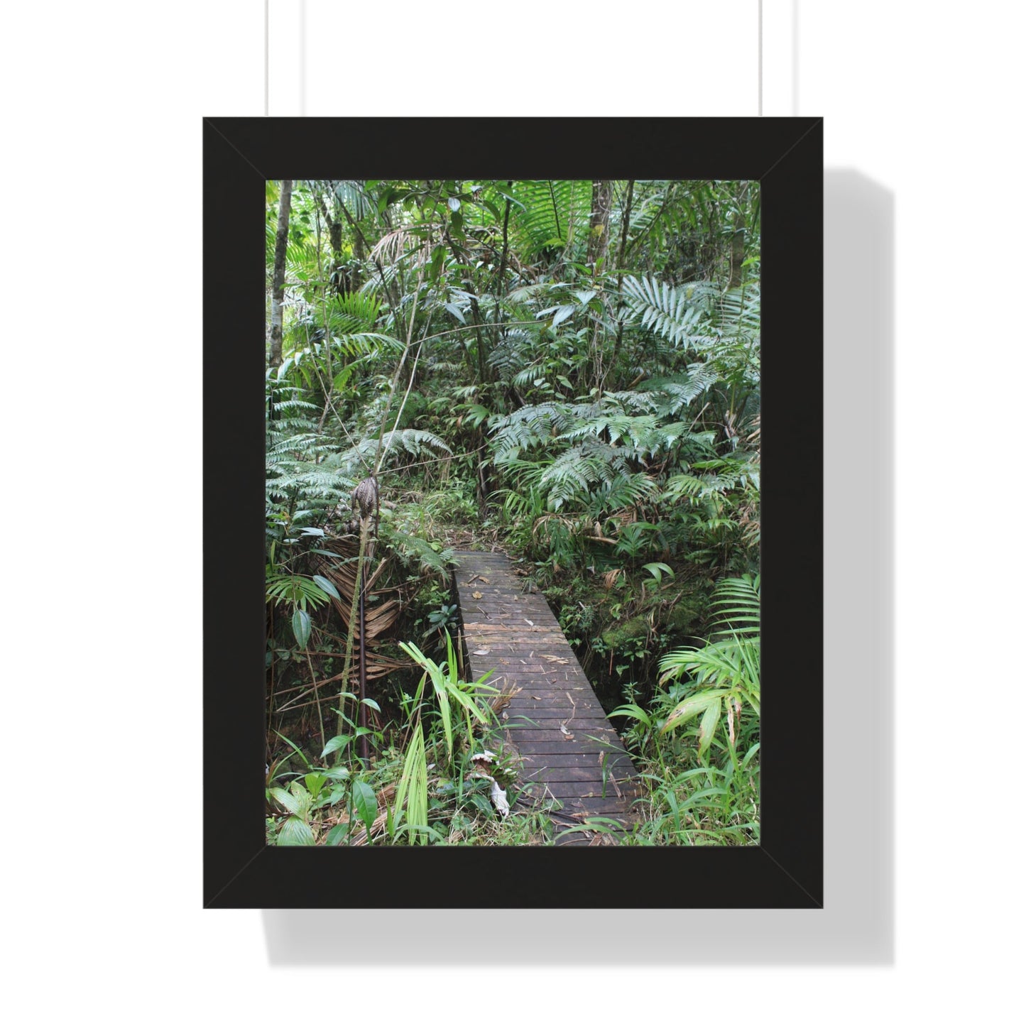 Rainforest Trails & Views - Gallery Canvas Wraps, Framed Vertical Poster - El Yunque National Forest - Puerto Rico - Tradewinds trail crossing bridge - Green Forest Home