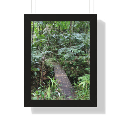 Rainforest Trails & Views - Gallery Canvas Wraps, Framed Vertical Poster - El Yunque National Forest - Puerto Rico - Tradewinds trail crossing bridge - Green Forest Home