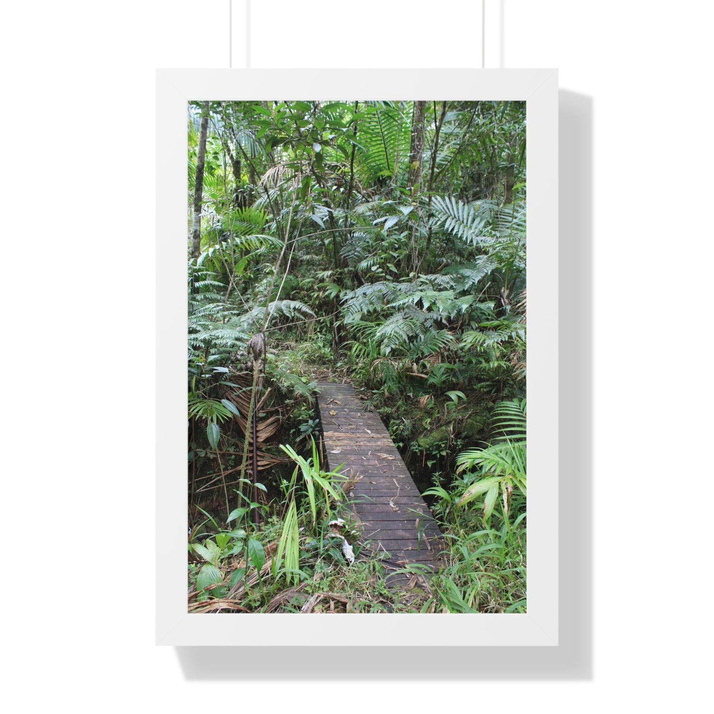 Rainforest Trails & Views - Gallery Canvas Wraps, Framed Vertical Poster - El Yunque National Forest - Puerto Rico - Tradewinds trail crossing bridge - Green Forest Home