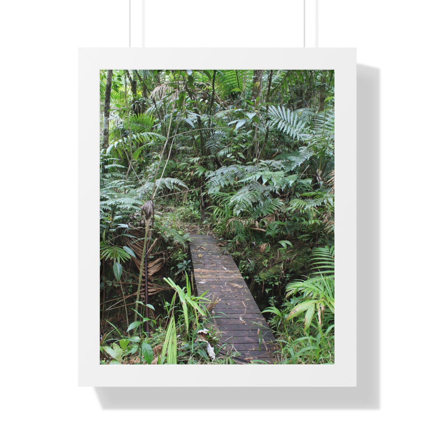 Rainforest Trails & Views - Gallery Canvas Wraps, Framed Vertical Poster - El Yunque National Forest - Puerto Rico - Tradewinds trail crossing bridge - Green Forest Home