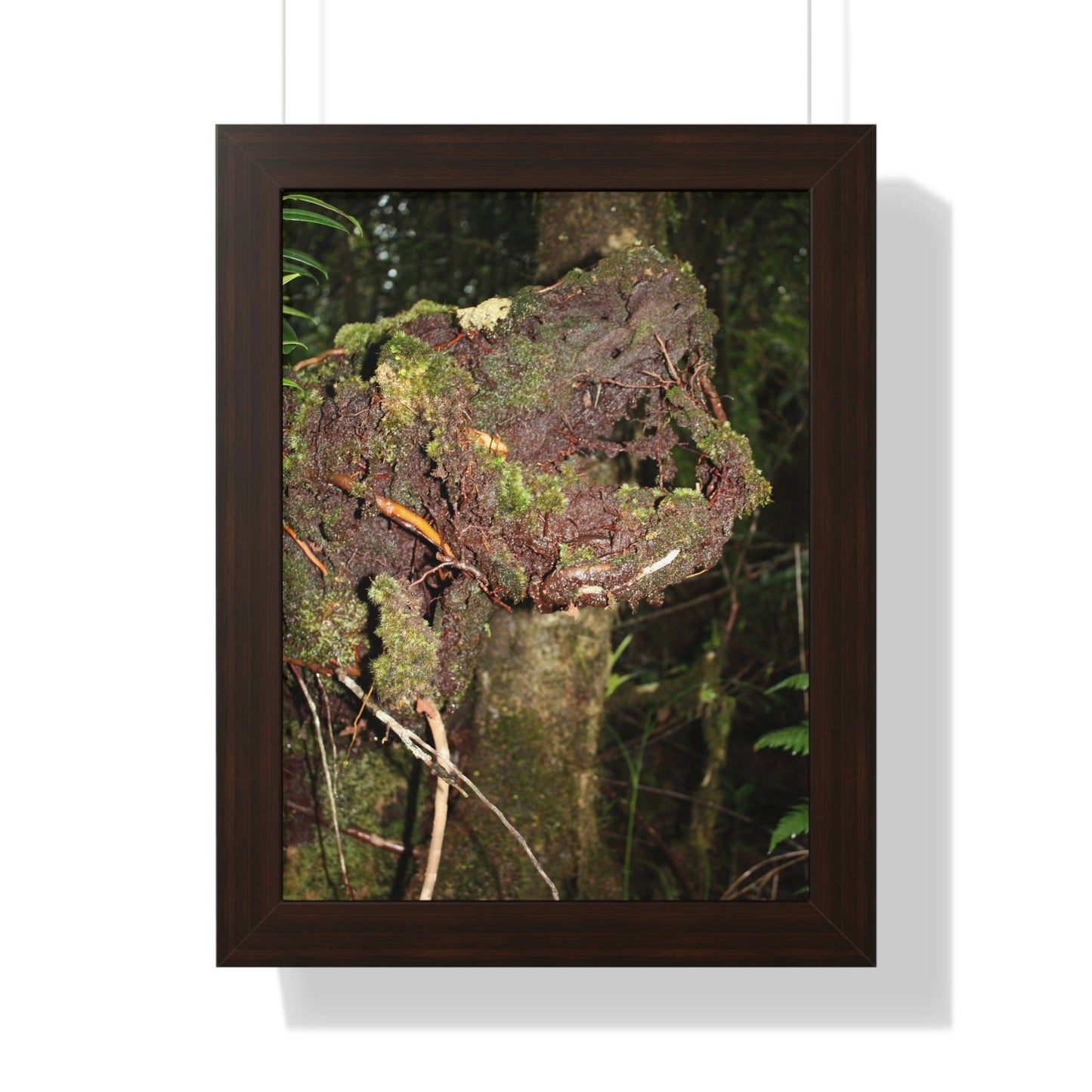Rainforest Trails & Views - Gallery Canvas Wraps, Framed Vertical Poster - El Yunque National Forest - Puerto Rico - Tradewinds trail decomposing tree - Green Forest Home